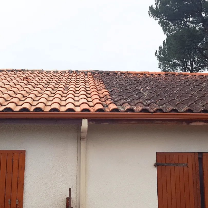 démoussage toiture Dommartin